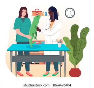 Doctor women with iguana in the medical office. Veterinary care illustration. Veterinarian wooman holding big green lizard in hands . Visit to the vet clinic to check the health of the animal reptile