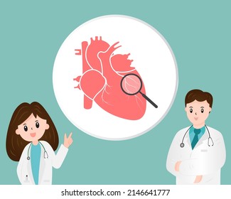 A doctors (Cardiologist) with human heart anatomy and magnifying glass isolated on green background ,medical healthcare concept ,heart attack ,coronary artery disease ,vector ,illustration.