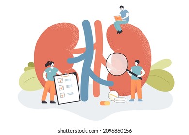 Doctors Check Health Of Kidneys And Urinary System In Clinic. Medical Study Of Tiny People With Chronic Kidney Diseases And Physiology Flat Vector Illustration. Urology, Nephrology, Dialysis Concept