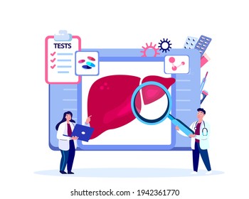 Doctors Gastroenterologists, Hepatologists Curing, Researching Liver Organ Hepatic.Analyze Fibrosis,Hepatitis.Medical Hospital Staff Consilium Consultation.Cirrhosis Treatment.Flat Vector Illustration