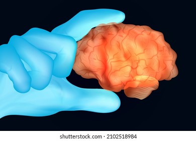 Doctor's hand in blue gloves hold human brain. Vector illustration.