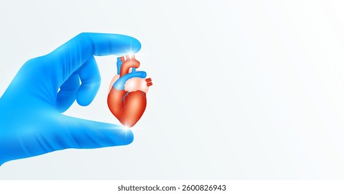 Doctor's hand in blue gloves holding heart. Shows human organ model close up on white background with blank space for your text. Medical health care analyzes. Vector realistic images.