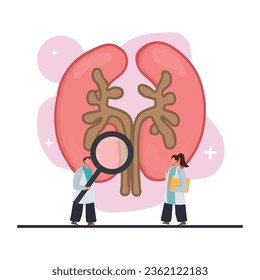 
Doctors performing activities around human kidneys, diagnosing kidney disease, chronic kidney disease, long term illness, a female doctor using stethoscope, a male doctor holding a magnifying glass.