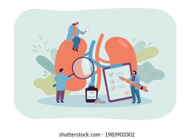 Doctors studying kidneys of donor at clinic. Medical persons checking human organ for surgery flat vector illustration. Nephrology, medicine concept for banner, website design or landing web page