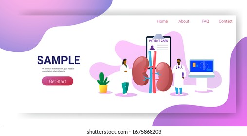 Equipo médico que examina la consulta médica de los riñones humanos examen interno de los órganos el concepto de tratamiento copia horizontal espacio completo ilustración vectorial