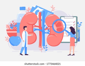 Doctors, woman and male counselors. Doctors examining internal organs. A kidney examiner. Vector illustration, EPS 10