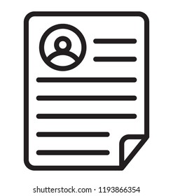 Document with the profile summary is symbolizing resume 