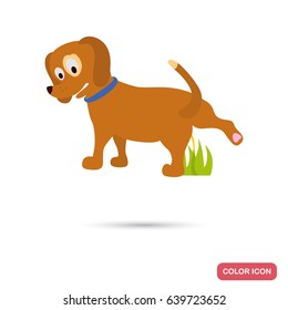 Dod pees color flat icon for web and mobile design