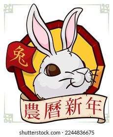 Dodecagon with white bunny head, ribbon and scroll commemorating the Chinese Lunar New Year of Rabbit (written in Chinese calligraphy).