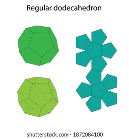 Dodecahedron with net. Regular polyhedron. Vector illustration.