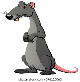 Dodgy gray rat. Cartoon character.