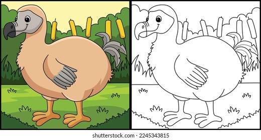 Dodo Animal Coloring Page Colored Illustration