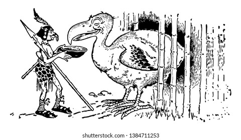 A Dodo bird eating food from bowl, a man holding bowl in his hand, vintage line drawing or engraving illustration 