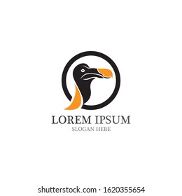 dodo bird logo and symbol vector icon