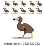 Dodo Bird Running Animated Animation Sequence Cartoon Vector