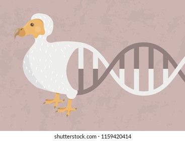 Dodo from DNA (horizontal illustration). Possibility of resurrection biology or cloning. Will it be possible to create an organism, which was an extinct species.