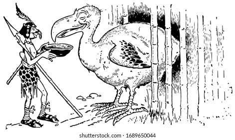 Dodo is an extinct flightless bird that was endemic to the island of Mauritius east of Madagascar in the Indian Ocean, vintage line drawing or engraving illustration.