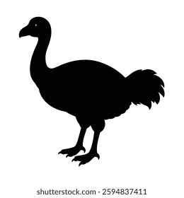 Dodo (Extinct) Silhouette Vector Art Design and Black And White Dodo Bird Vector Illustration