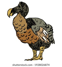 Dodo. (Raphus cucullatus). Extinct flightless bird from Mauritius island. Hand drawn colorful rough sketch. Isolated vector illustration.