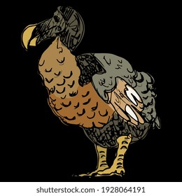 Dodo. (Raphus cucullatus). Extinct flightless bird from Mauritius island. Hand drawn colorful rough sketch. On black background.