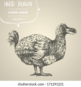 Dodo or Raphus cucullatus. Hand drawn vector illustration.