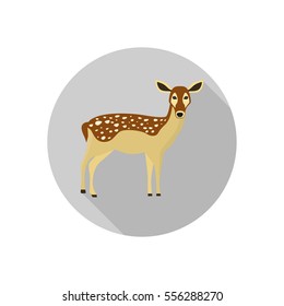 Doe color flat icon for web and mobile design