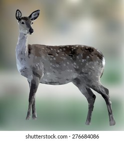 Doe dappled deer scetched on blurred background, standing and listening. Vector illustration.