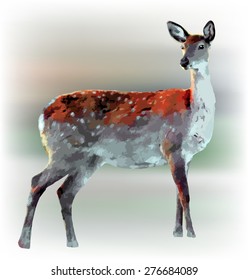 Doe dappled deer scetched on blurred background, standing and listening. Vector illustration.