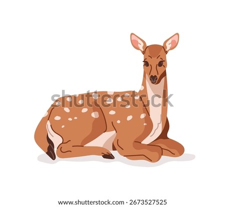 Doe of fallow deer with spotted coat is lying. Cute hind has a rest. Happy roe relaxes. Wild animal of forest. Fauna, wildlife of woodland. Flat isolated vector illustration on white background
