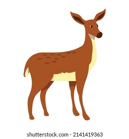 Doe semi flat color vector character. Posing figure. Full body animal on white. Mammal without antlers. Female deer simple cartoon style illustration for web graphic design and animation