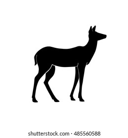 Doe silhouette on white background