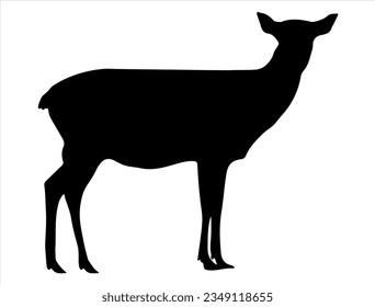 Doe silhouette vector art wild animal