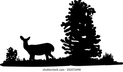 Doe standing by tree 