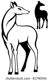 doe vector illustration