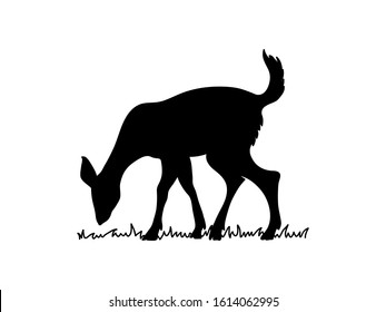 Doe vector silhouette. Deer black sticker. Forest animal icon. Cute bambi.
