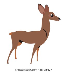 Doe - Woodland animal cartoon isolated on white background color vector illustration