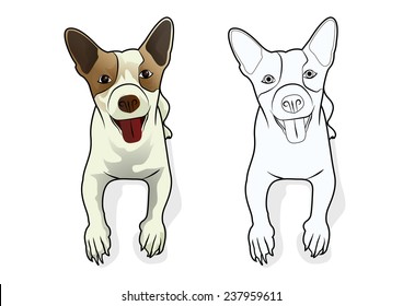 dog