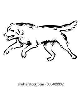 dog