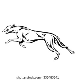 dog