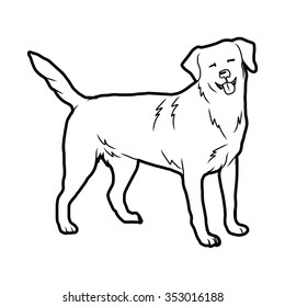 dog