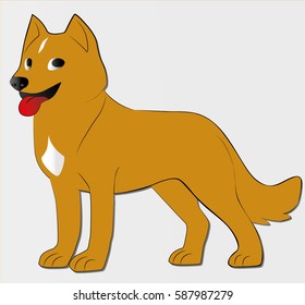 Dog