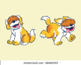 dog 