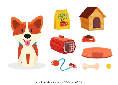 Dog and accessories flat vector illustrations set. Various pet shop products isolated on white background. Domestic animal keeping symbols. Canine food, doghouse, carrier cage, leash, toys and bed