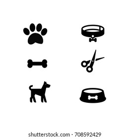Dog accessories icon. Pet symbols. Flat design. Vector Illustration.