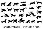 Dog actions, reactions, postures, and body languages. Illustrations depict dog standing, walking, running, jumping, eating, barking, and digging hole. It also depict dog sniffing and mating. 