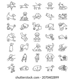 Dog Activities Vector Icon Set
