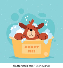 dog in adopt me bath on blue background