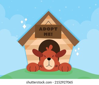 dog in adopt me house on blue background