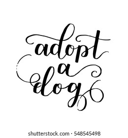 Dog adoption hand written lettering. Brush lettering quote about the dog Adopt a dog . Vector motivational saying with black ink on white isolated background.