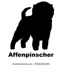 Dog Affenpinscher silhouette Breeds Bundle Dogs on the move. Dogs in different poses. jumps, the dog runs. The dog is sitting. The dog is lying down playing
